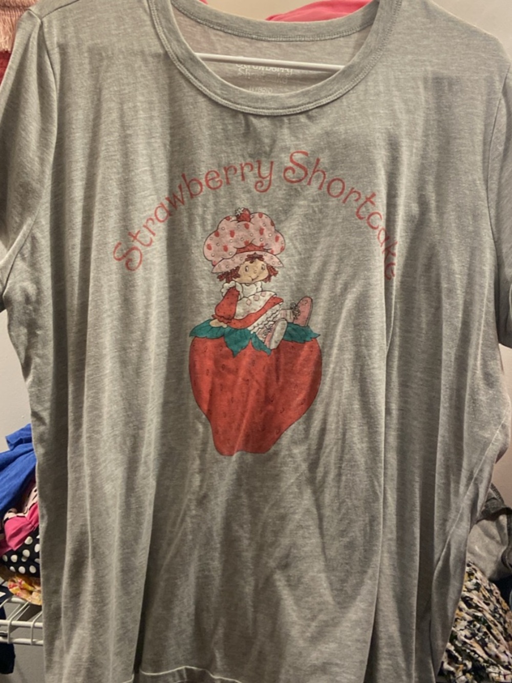 Hybrid Apparel Strawberry Shortcake T-Shirt Size 2XL